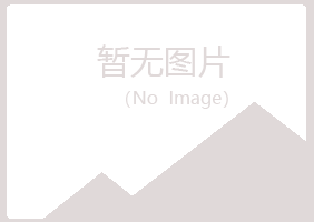 福海县女孩建设有限公司